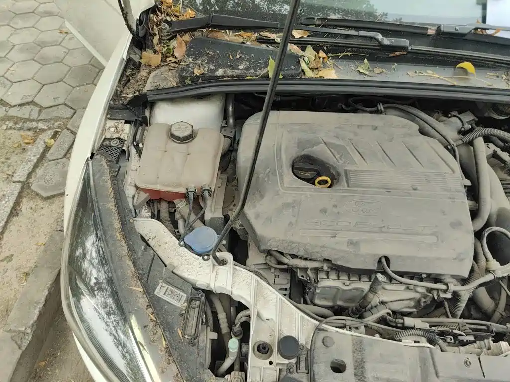 Ford Focus — миниатюра 25