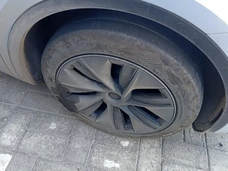 Tesla Model Y — миниатюра 6