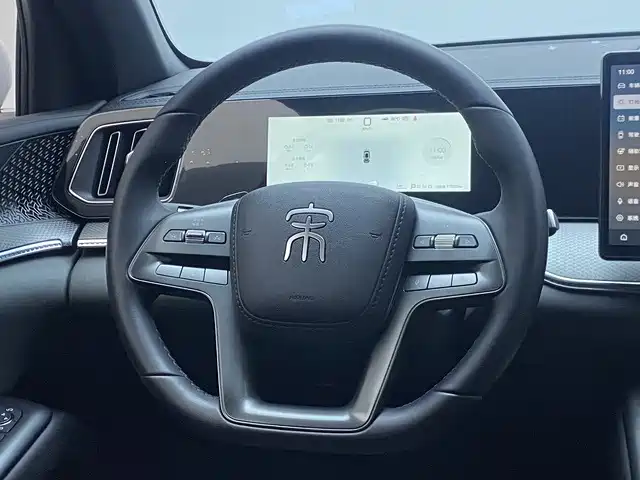 BYD Pro New Energy — миниатюра 11