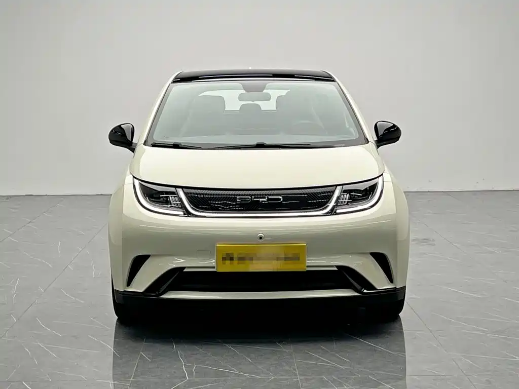 BYD Dolphin — миниатюра 2