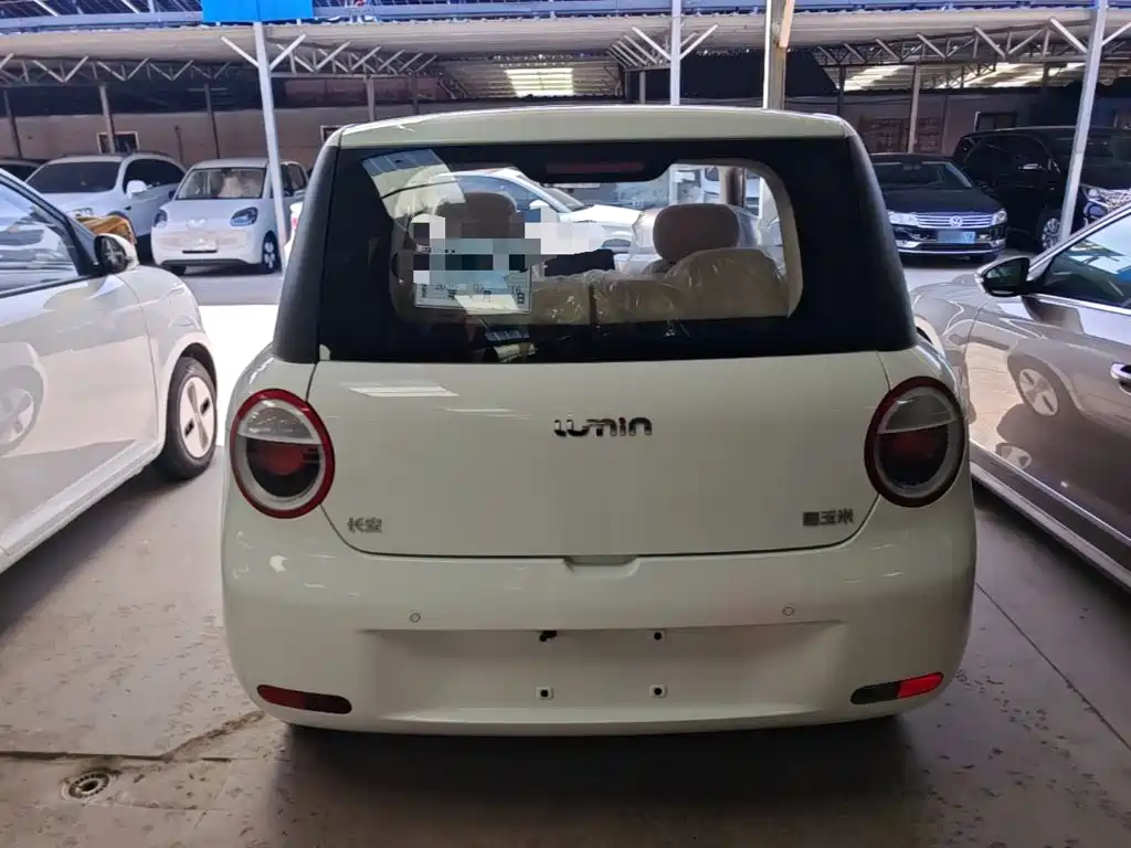 Qiyuan Lumin — миниатюра 6