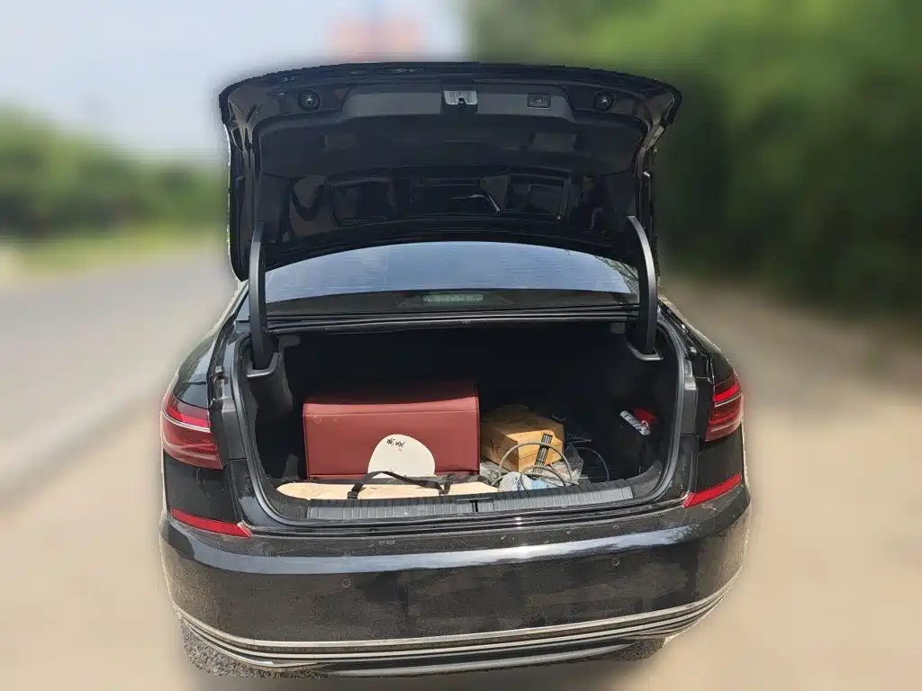 Volkswagen Passat — миниатюра 10