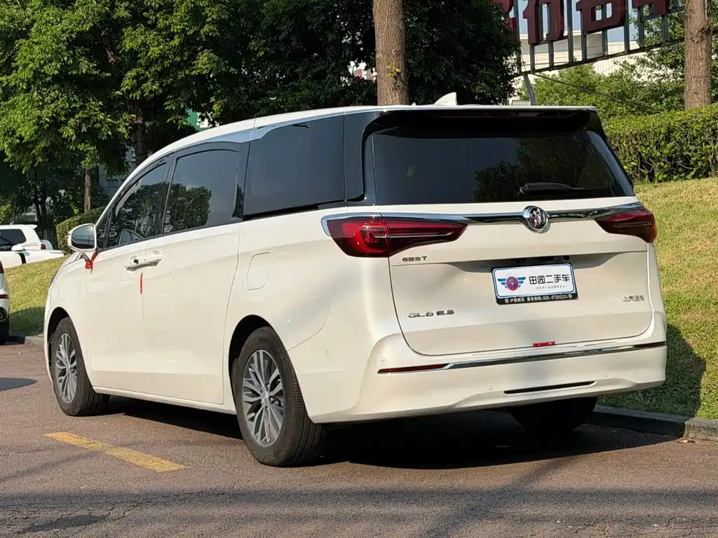 Buick GL8 — миниатюра 4
