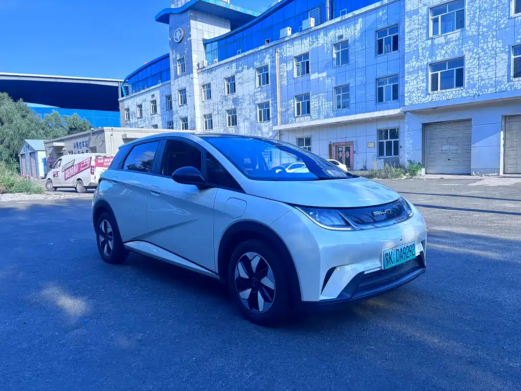BYD Dolphin — миниатюра 3