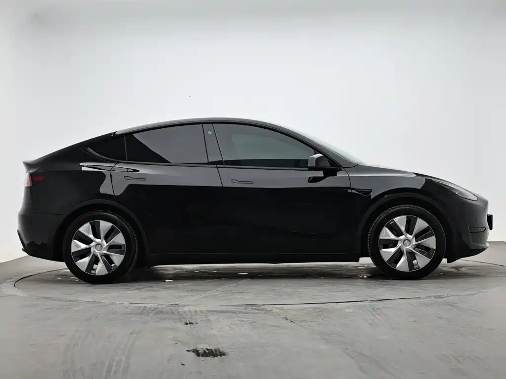 Tesla Model Y — миниатюра 5