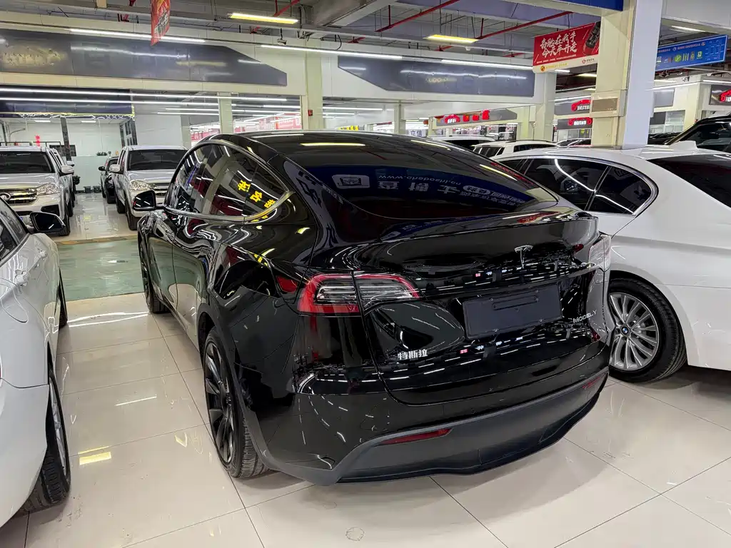 Tesla Model Y — миниатюра 6