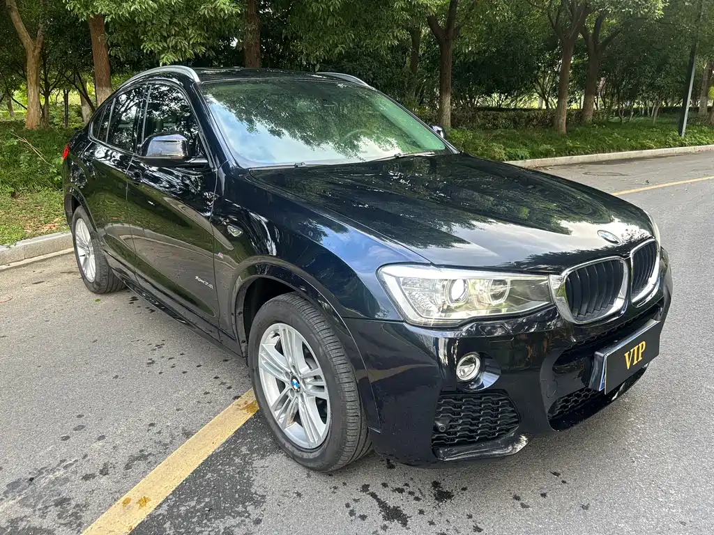 BMW X4 — миниатюра 2
