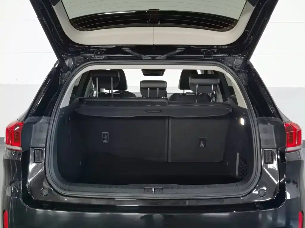 Wey Wey VV6 — миниатюра 16