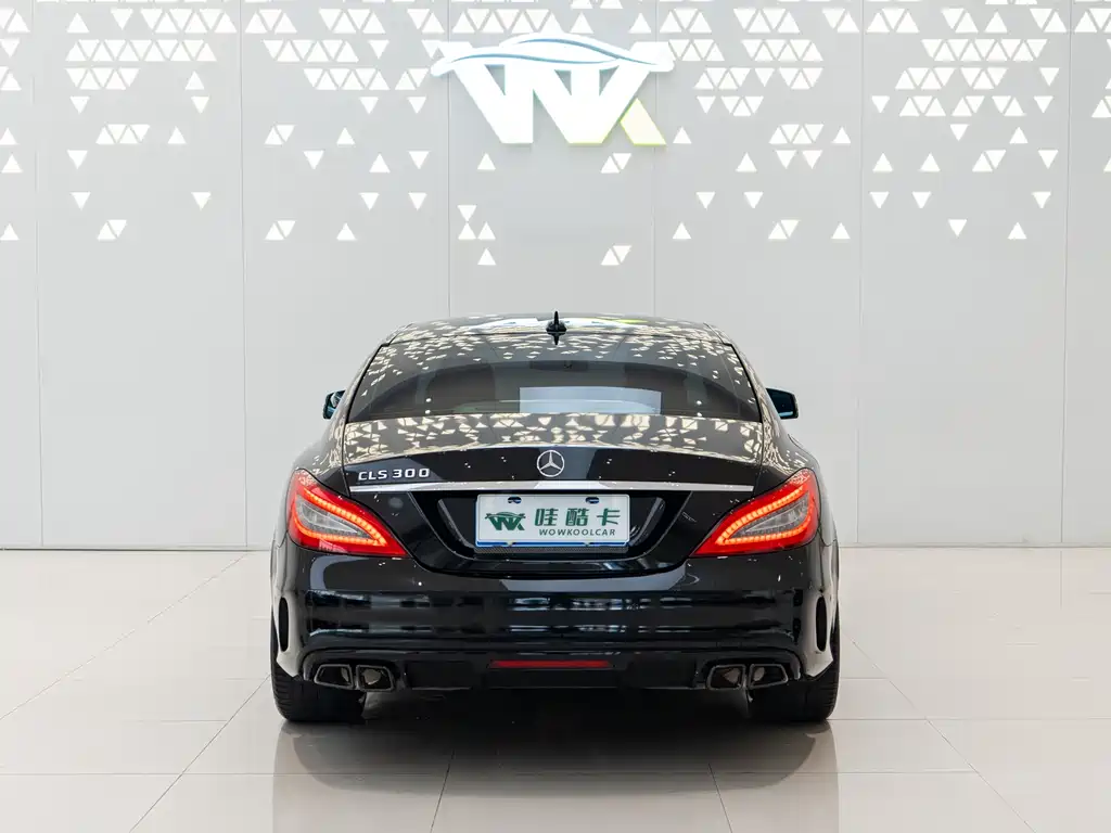 Mercedes-Benz CLS 2012 CLS 300 CGI