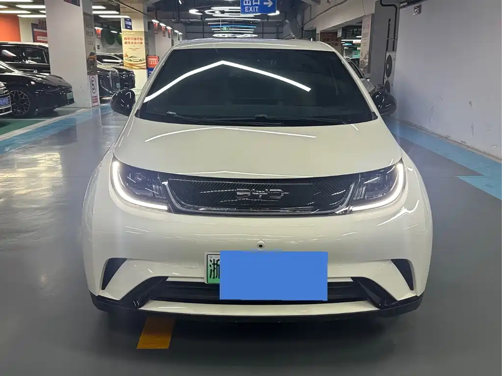 BYD Dolphin — миниатюра 2