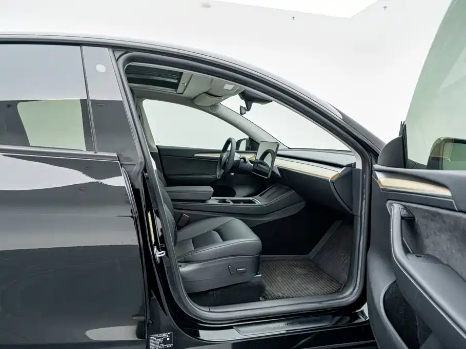 Tesla Model Y — миниатюра 16