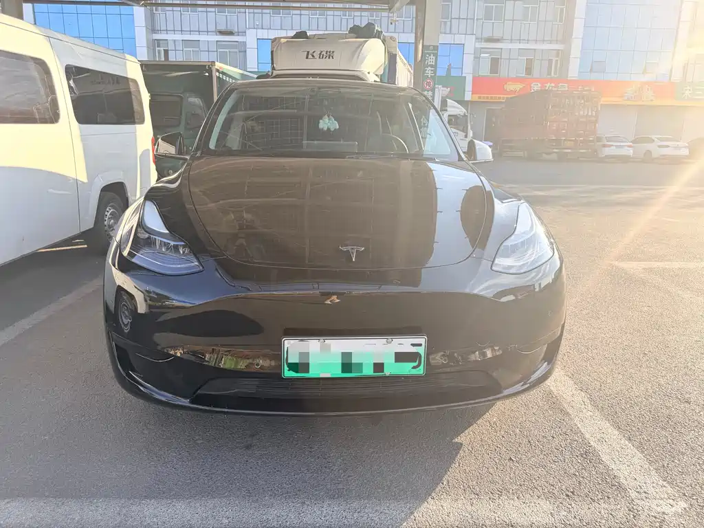 Tesla Model Y — миниатюра 2