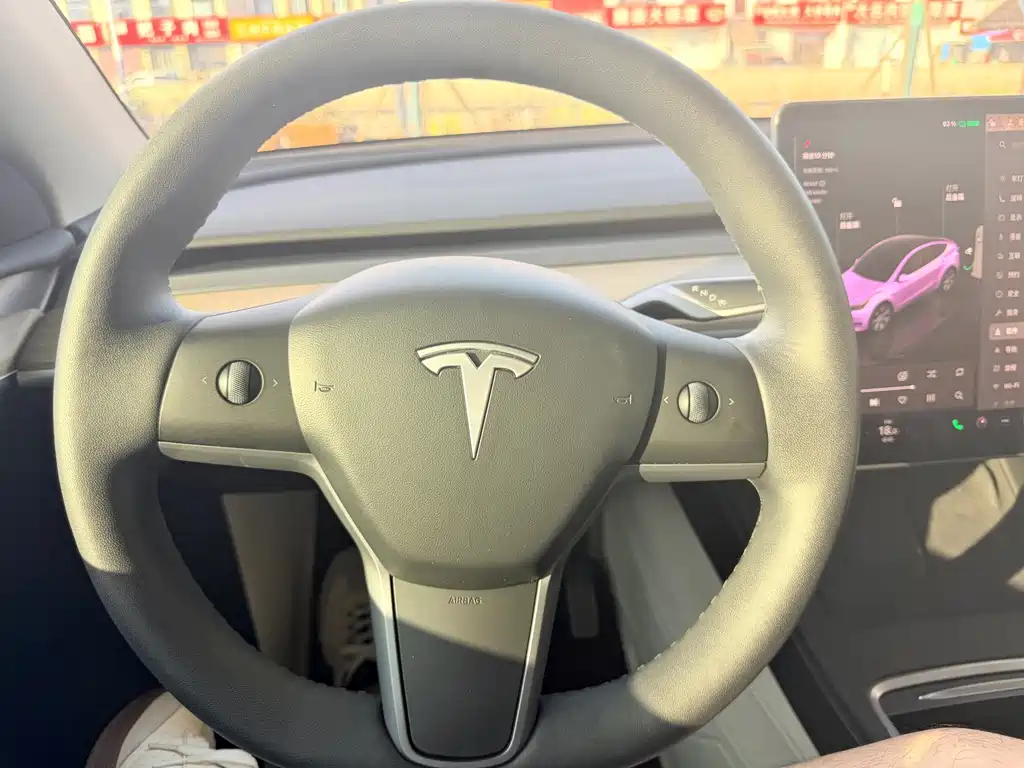 Tesla Model Y — миниатюра 5