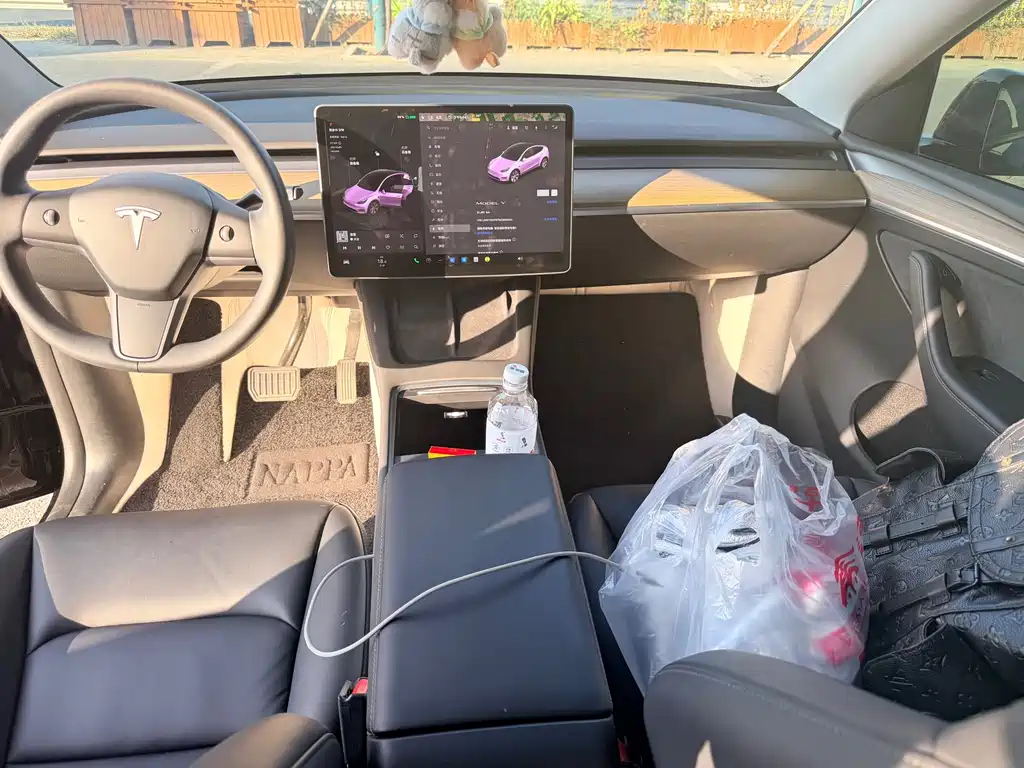 Tesla Model Y — миниатюра 7