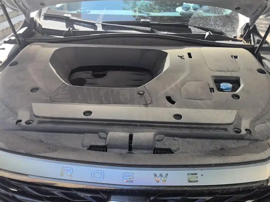 Roewe RX5 Max 2022 1.5T AT Luxury