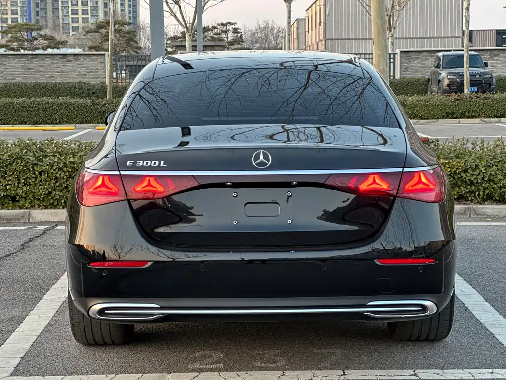 Mercedes-Benz E-Class E 2025 E 300 L Luxury