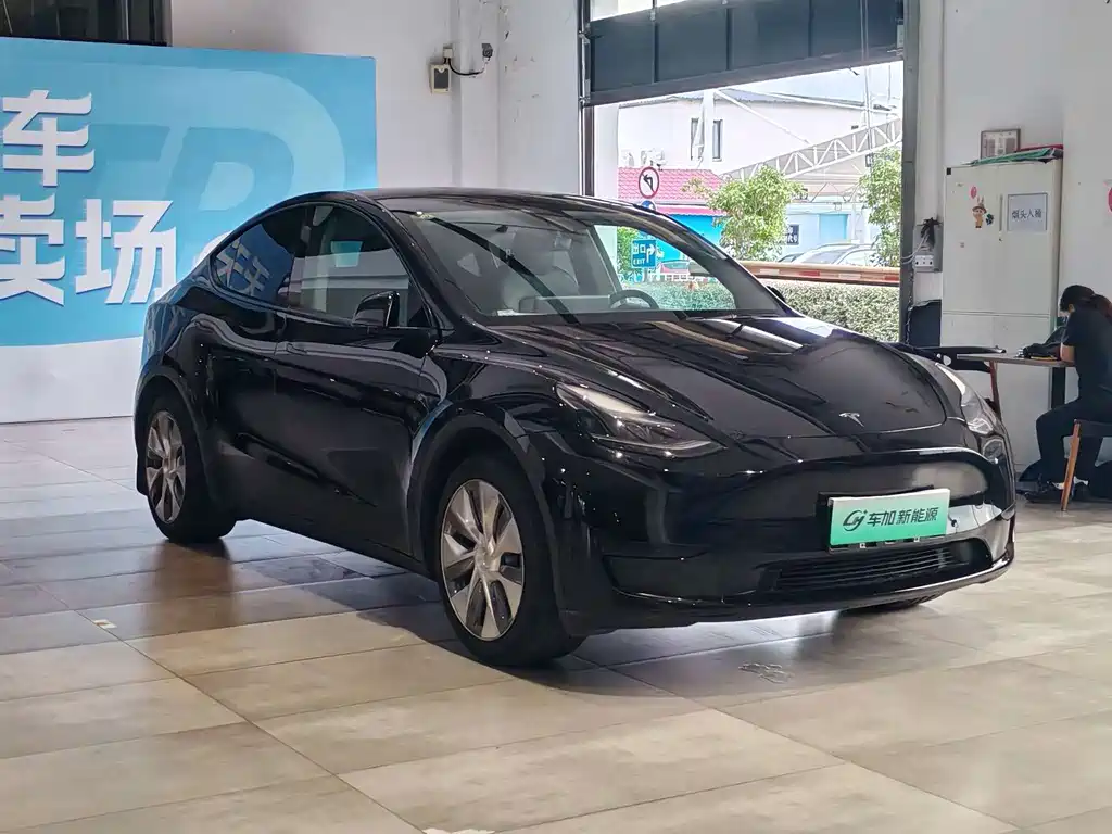 Tesla Model Y — миниатюра 3