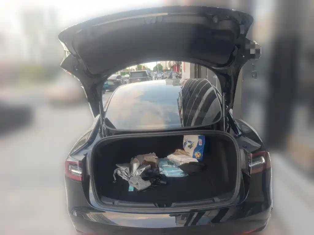 Tesla Model 3 — миниатюра 15