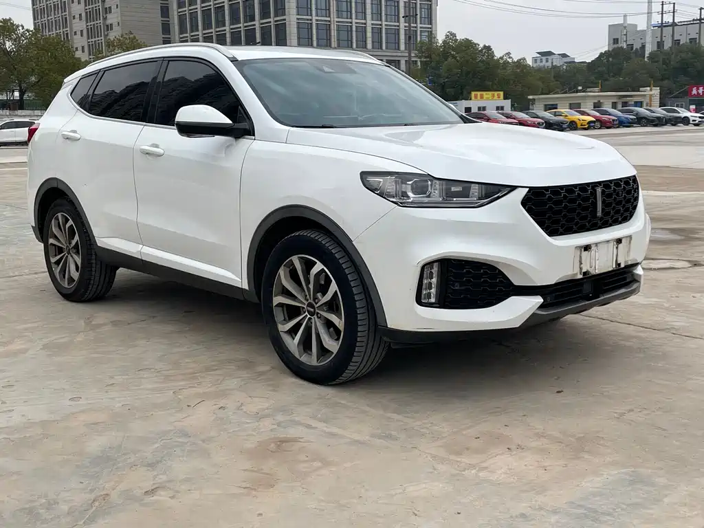 WEI PAI WEI BRAND VV6