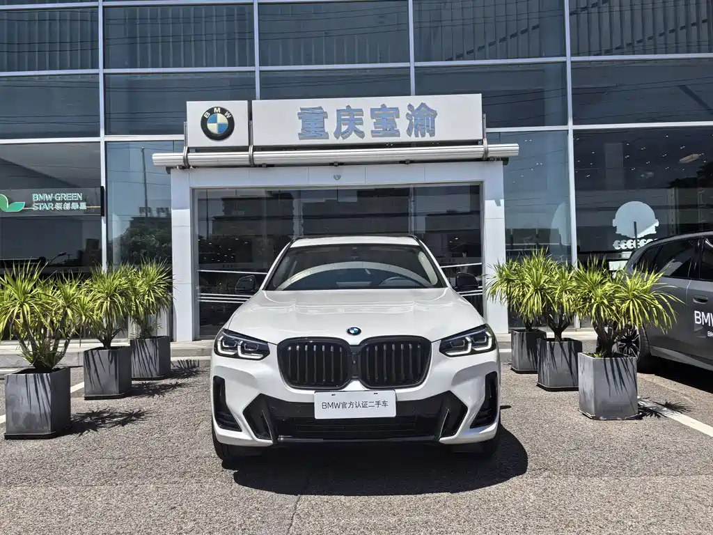 BMW X3 — миниатюра 2