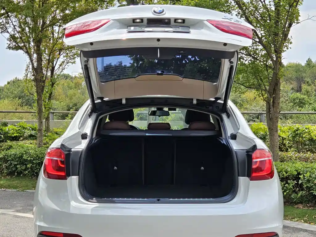 BMW X6 — миниатюра 20