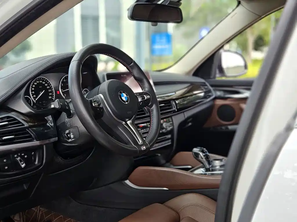 BMW X6 — миниатюра 17