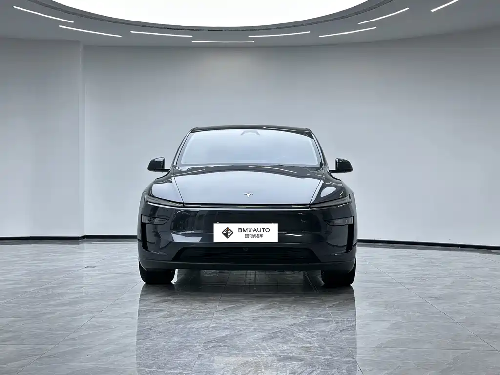 Tesla Model Y — миниатюра 5