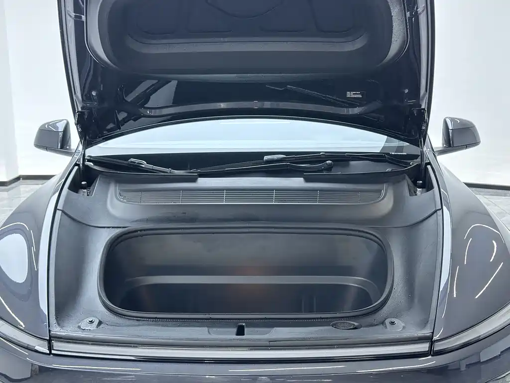 Tesla Model Y — миниатюра 10