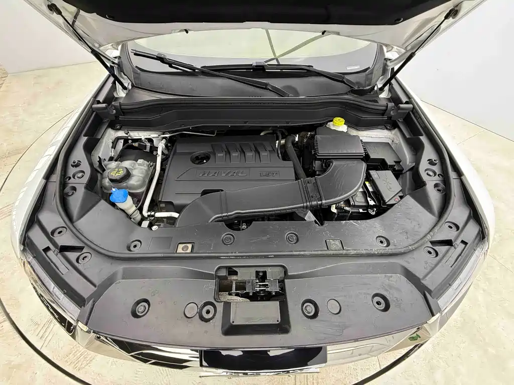 Haval H6 — миниатюра 8