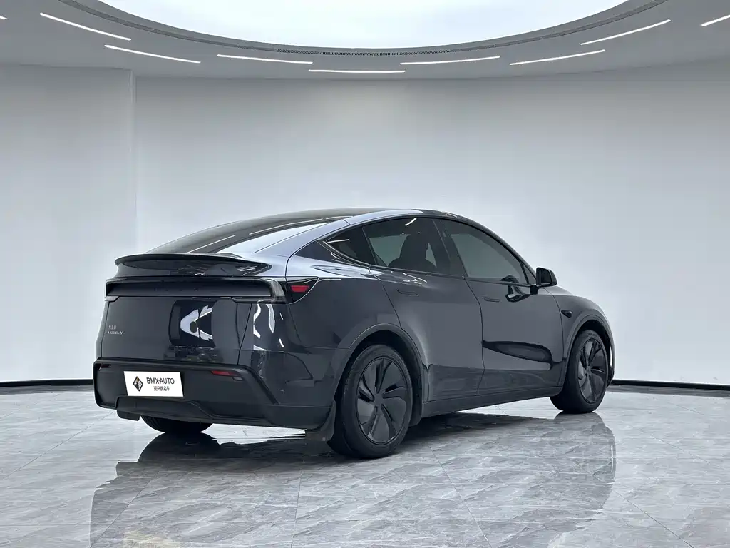 Tesla Model Y — миниатюра 4