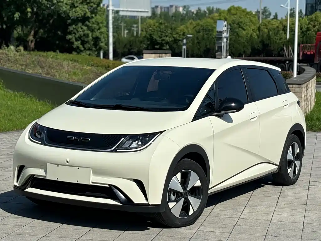 Byd Dolphin 2024