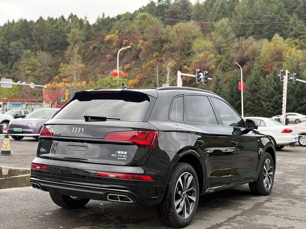 Audi Q5L — миниатюра 5