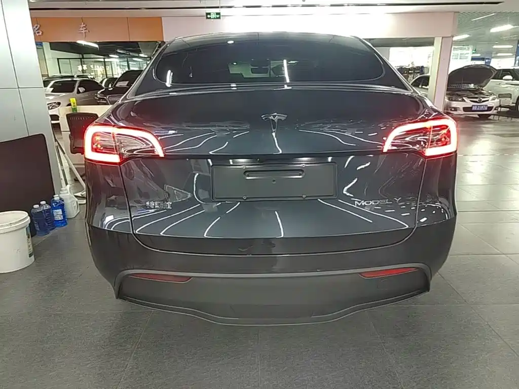 Tesla Model Y — миниатюра 6
