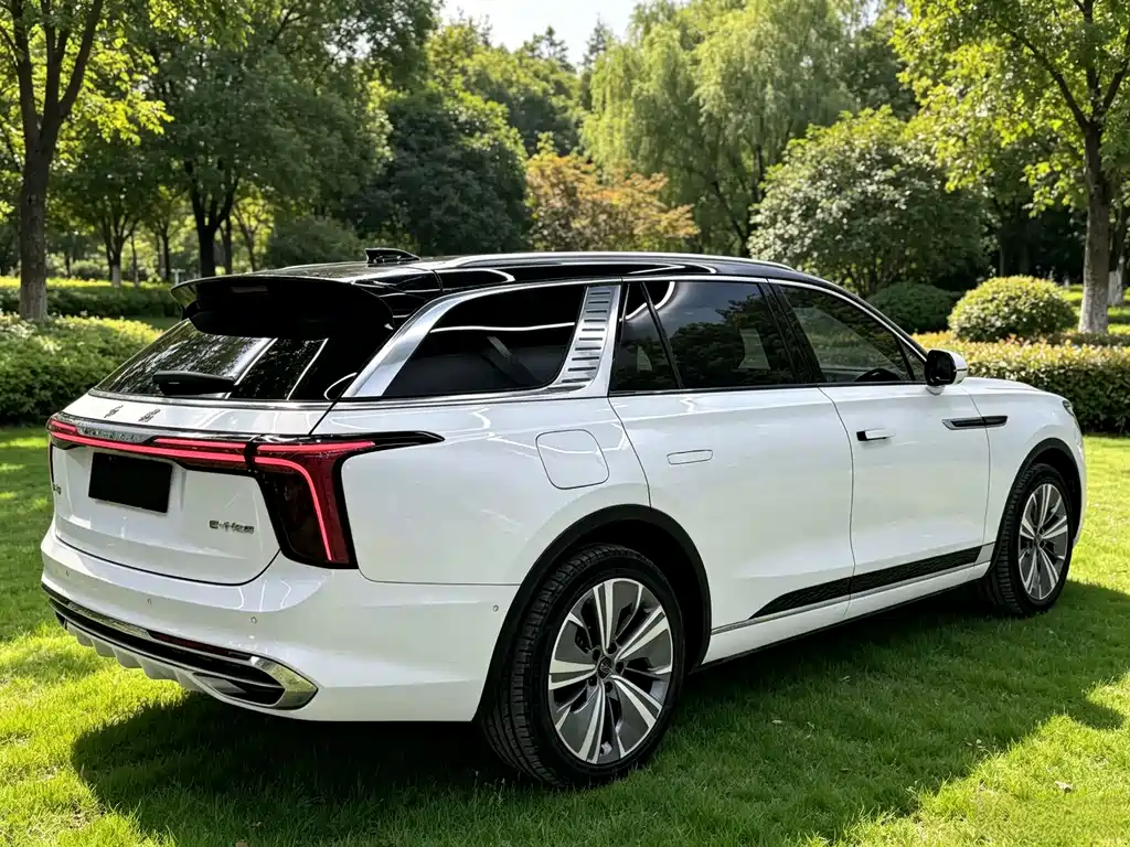 Hongqi Hongqi E-HS9 — миниатюра 4