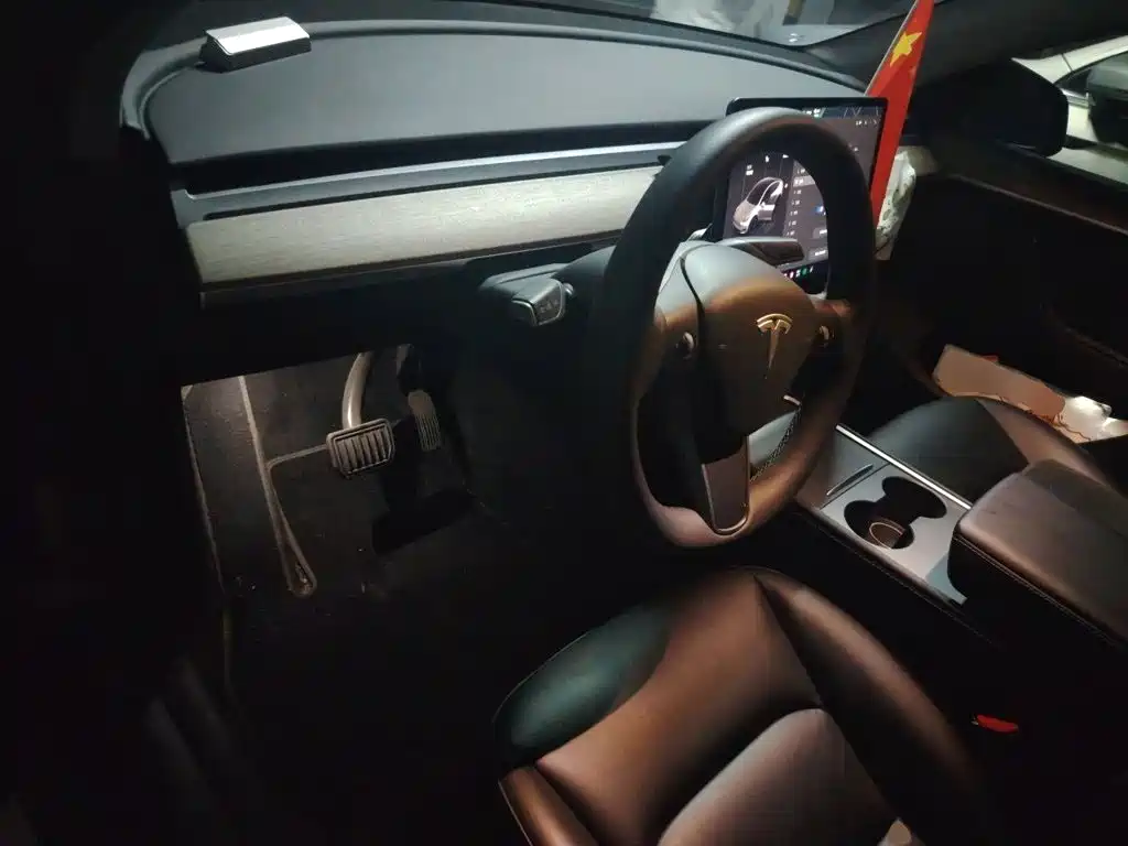 Tesla Model Y — миниатюра 6