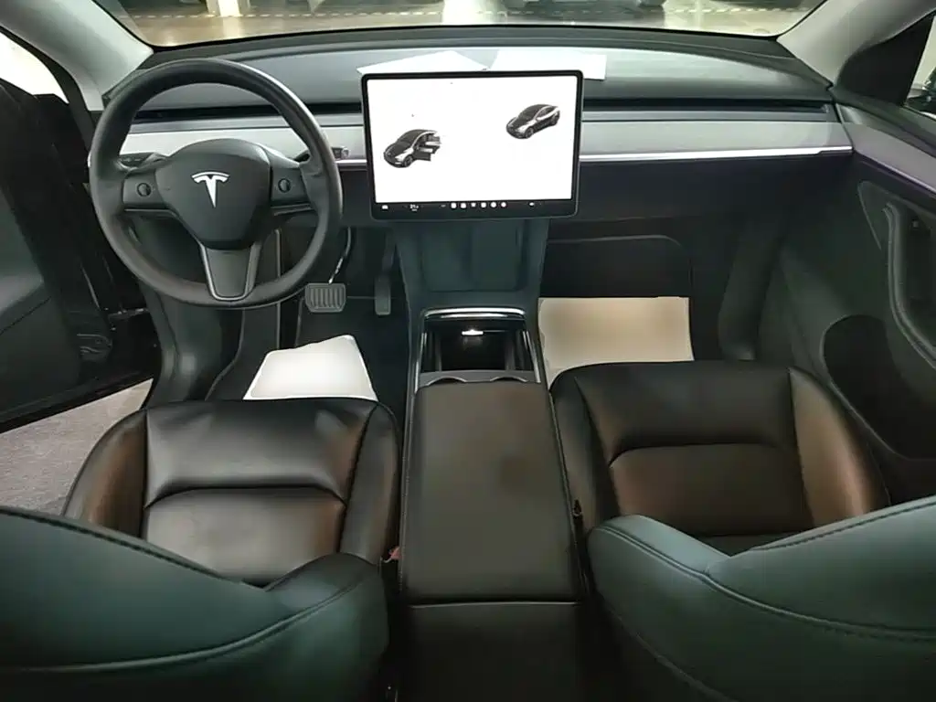 Tesla Model Y — миниатюра 10