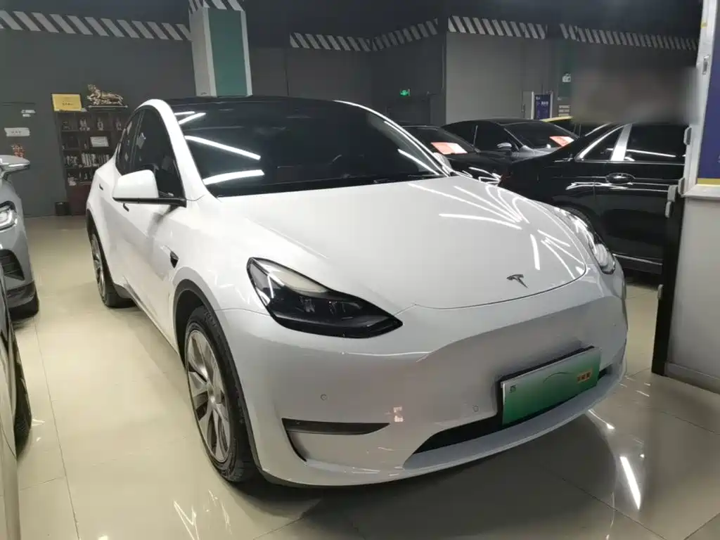 Tesla Model Y — миниатюра 4