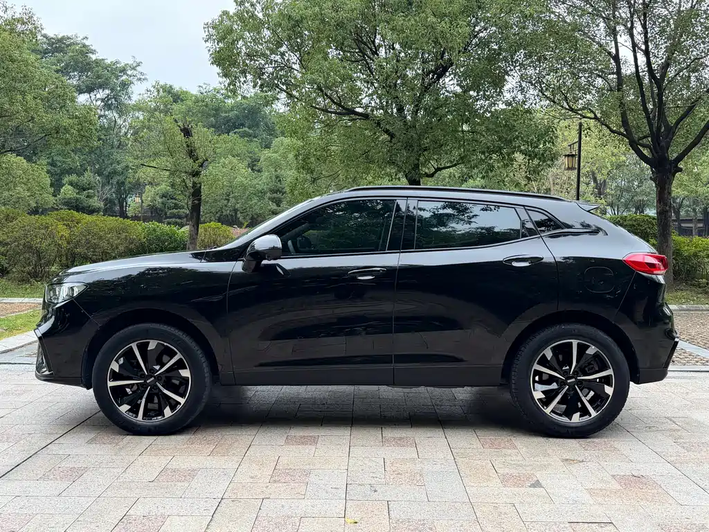 WEI PAI WEI BRAND VV5