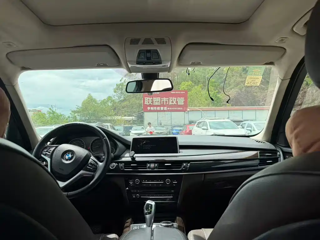BMW X5 (Import) — миниатюра 5