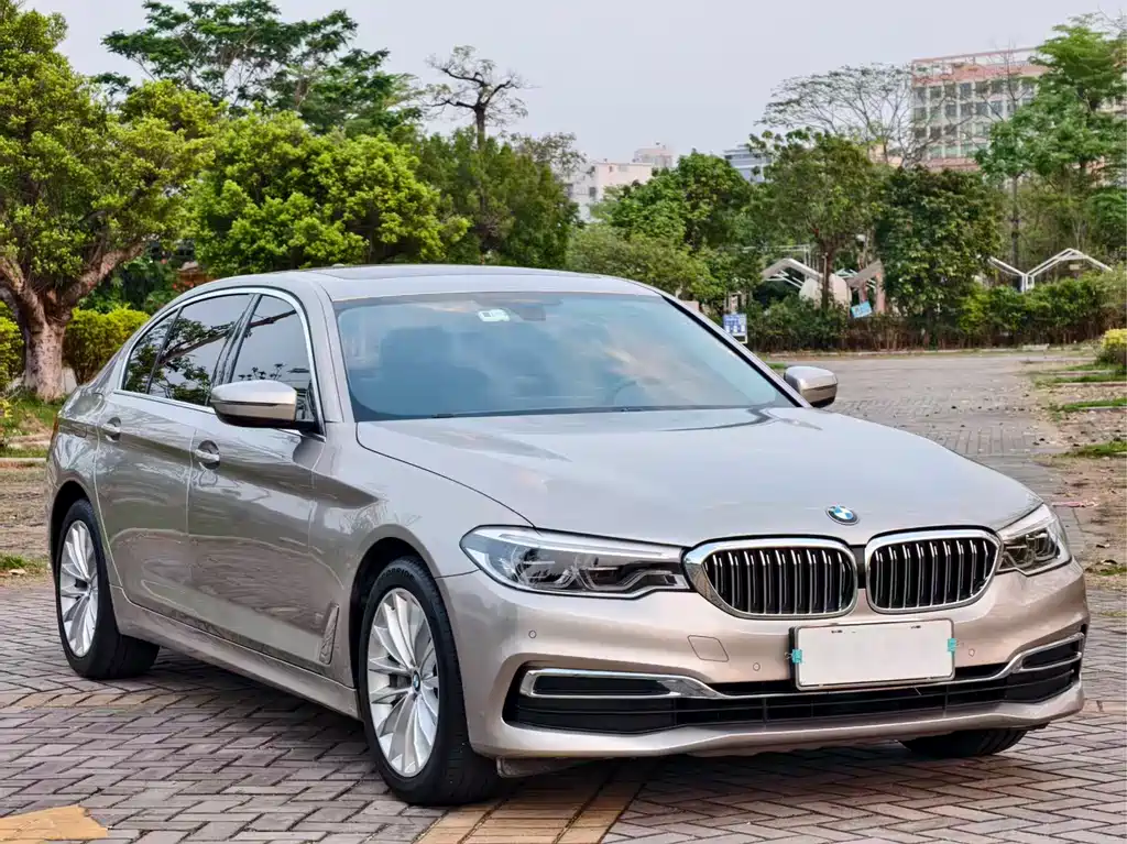 BMW 5 Series 5 2020 530Li Lead Luxury