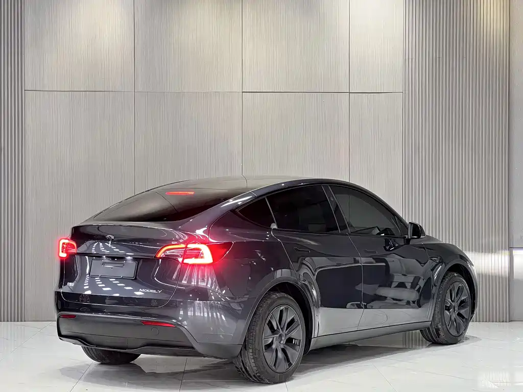 Tesla Model Y — миниатюра 10