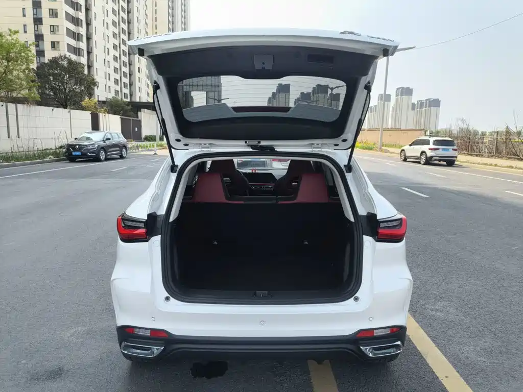 Oshan Oushang X5 — миниатюра 15