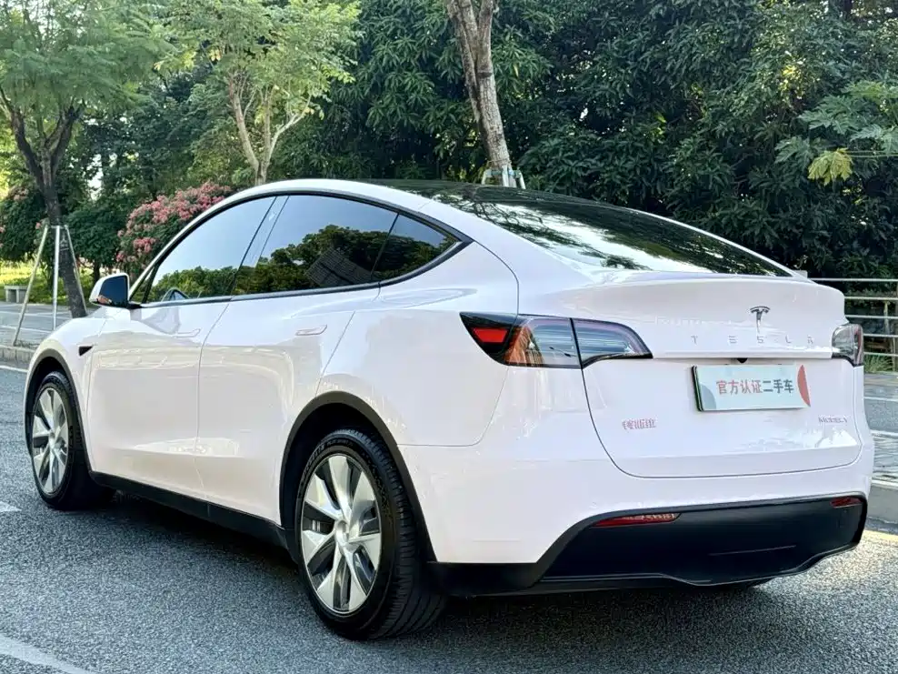 Tesla Model Y — миниатюра 7