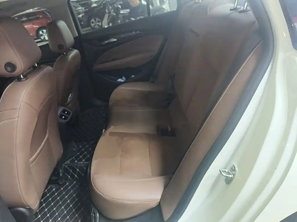 Buick Regal — миниатюра 17