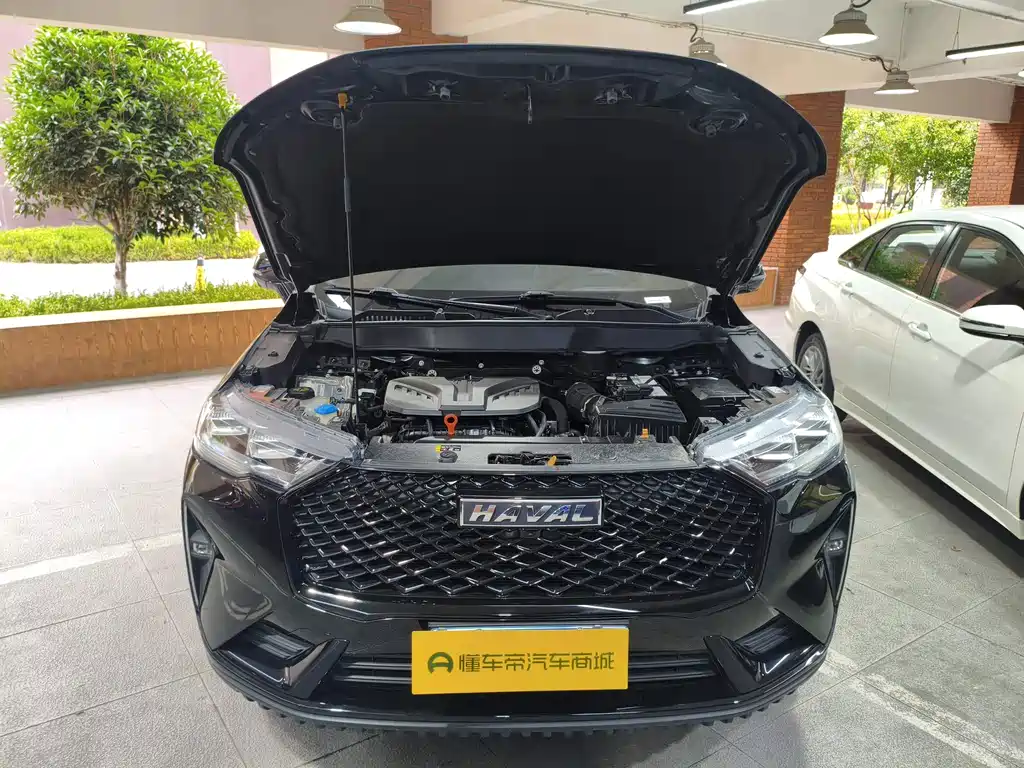 Haval H6 — миниатюра 19