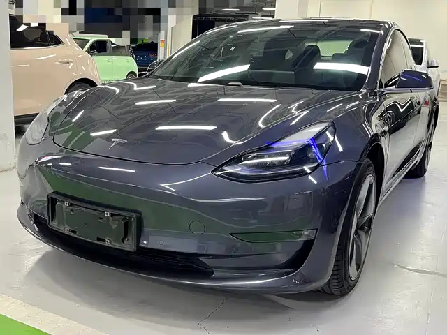 TESLA MODEL 3 2020