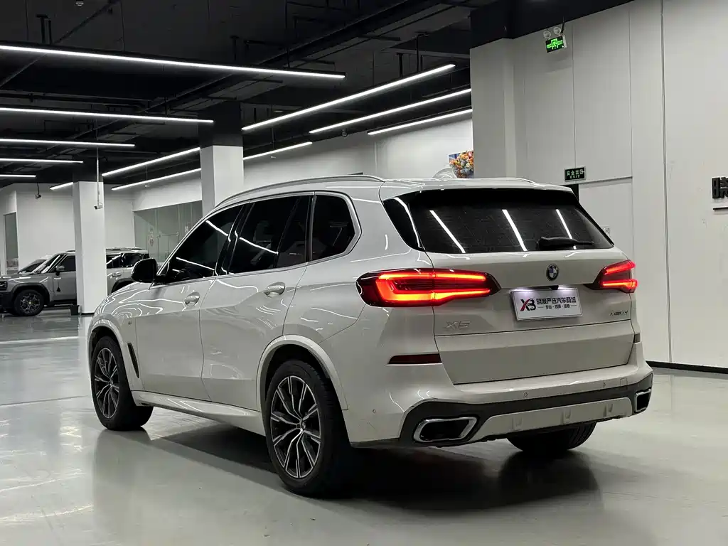BMW X5 (Import) — миниатюра 5