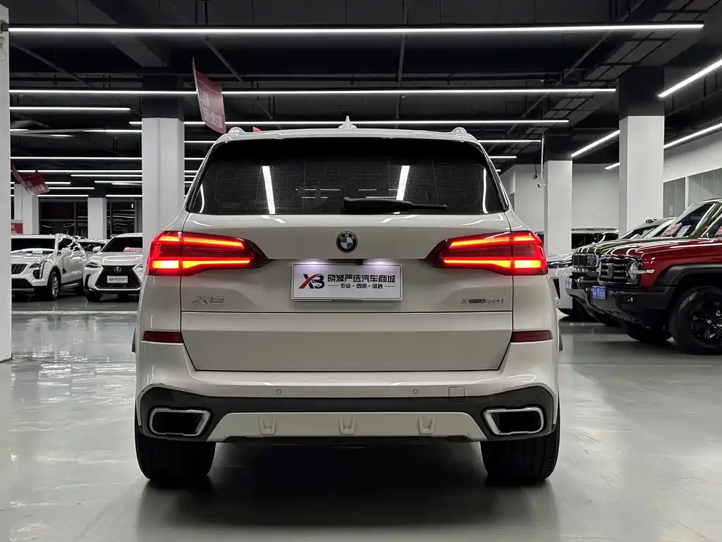 BMW X5 (Import) — миниатюра 6