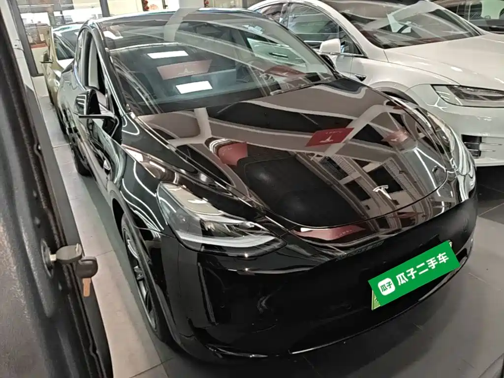 Tesla Model Y — миниатюра 4