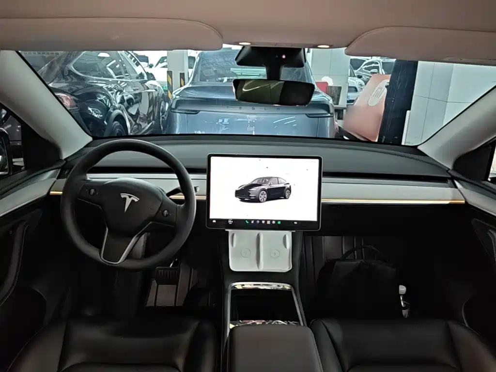 Tesla Model Y — миниатюра 10